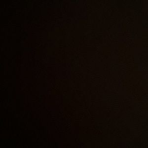 Meet your Posher, Evelyn